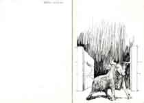 [Carta de Luciana Wolf a Francisco Umbral]